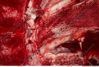 RAW ribs beef 0016